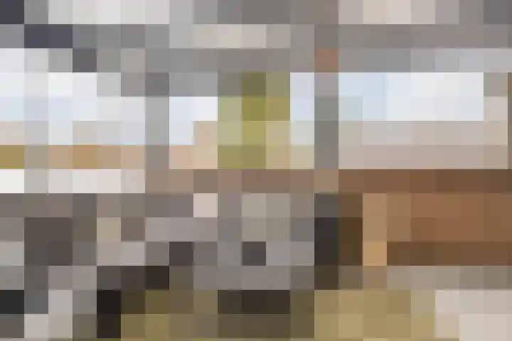 Jodenstraat 23 8 Geleen thumbnail 35