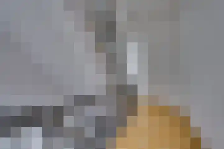 Jodenstraat 41 Venlo thumbnail 20