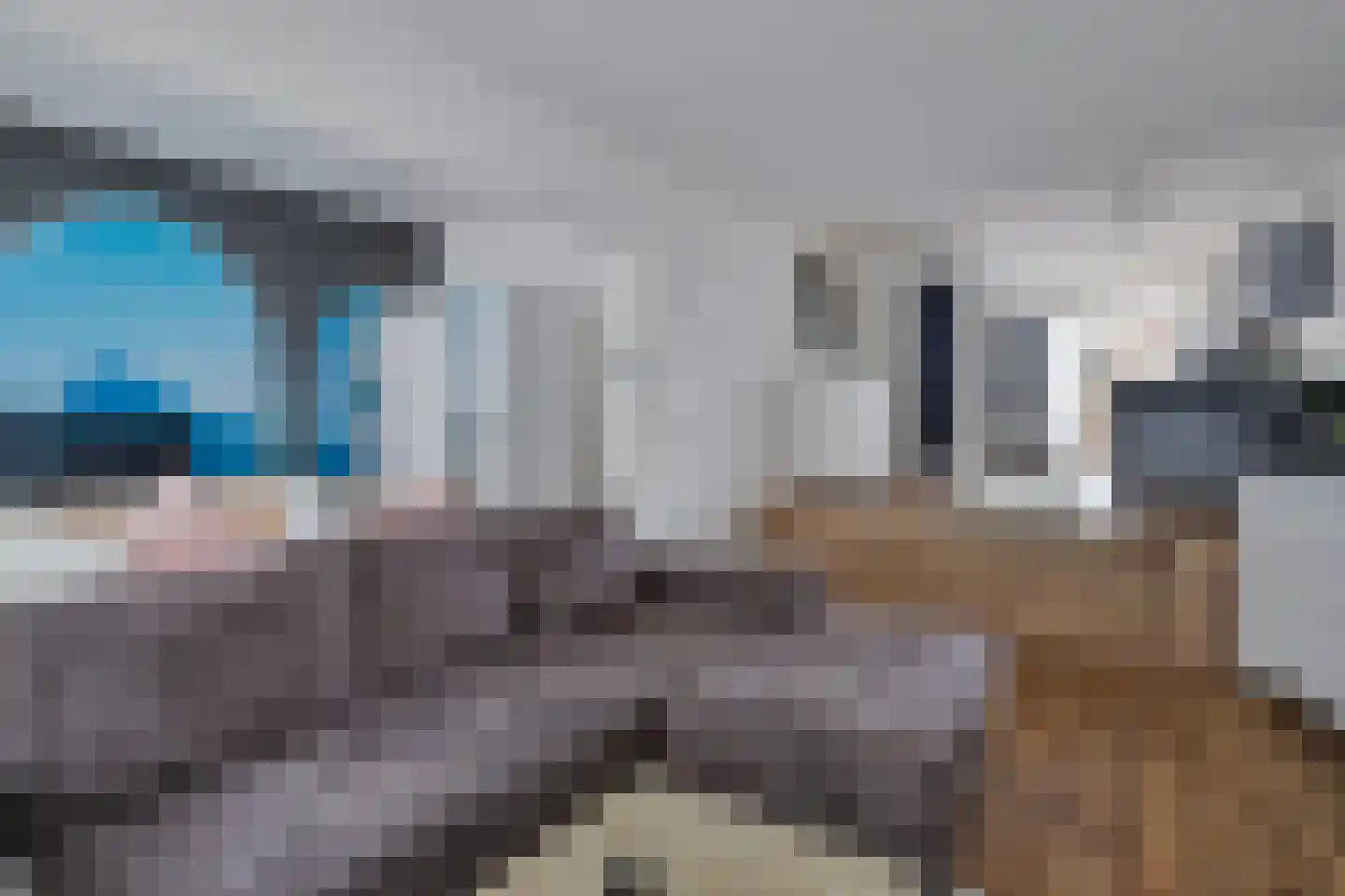 Jodenstraat 55 Venlo thumbnail 19