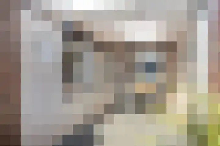 Jodenstraat 8 Geleen thumbnail 26