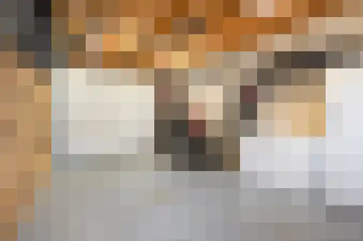 Jodenstraat 8 Geleen thumbnail 31