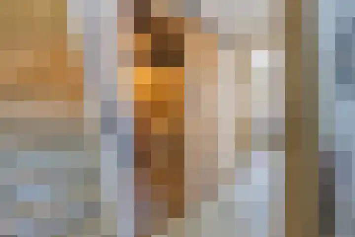 Jodenstraatje 2 a Tiel thumbnail 17