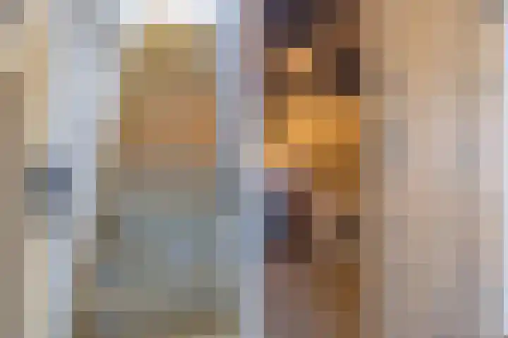 Jodenstraatje 2 a Tiel thumbnail 27