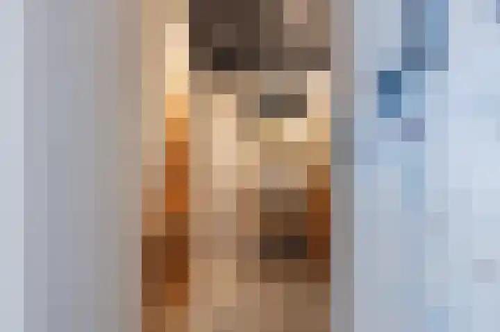 Jodenstraatje 2 a Tiel thumbnail 5