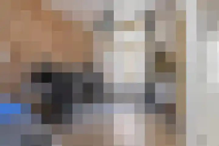 Jodenstraatje 2 Tiel thumbnail 18