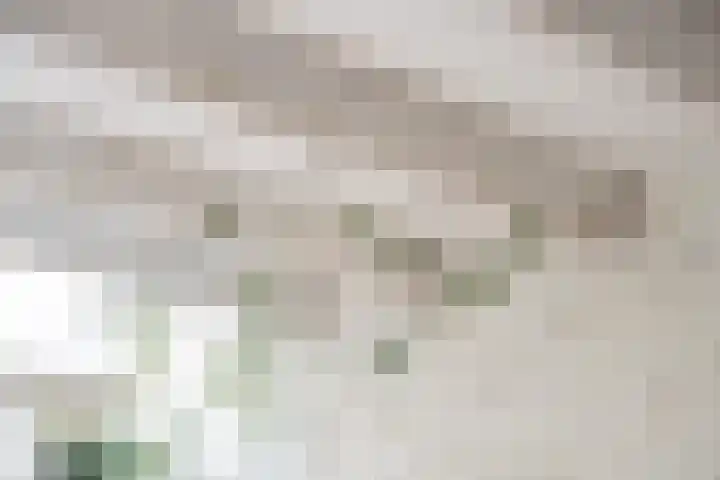 Jodenstraatje 2 Tiel thumbnail 27
