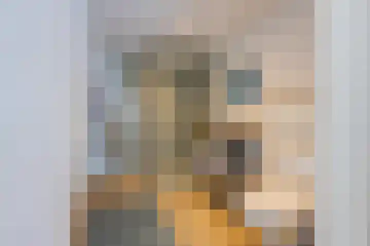 Jodenstraatje 2 Tiel thumbnail 31