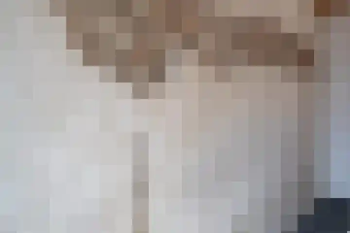 Jodenstraatje 2 Tiel thumbnail 35