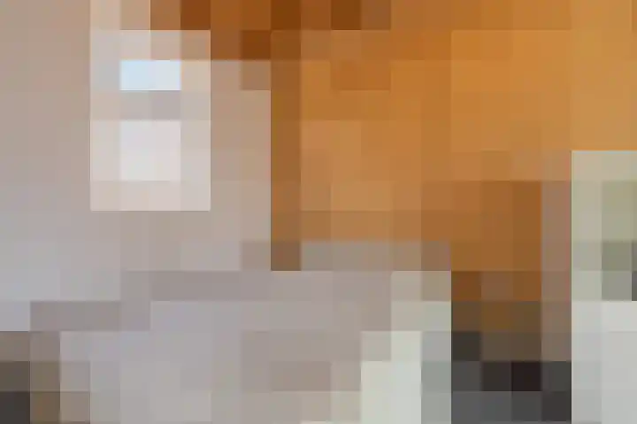 Jodenstraatje 2 Tiel thumbnail 37