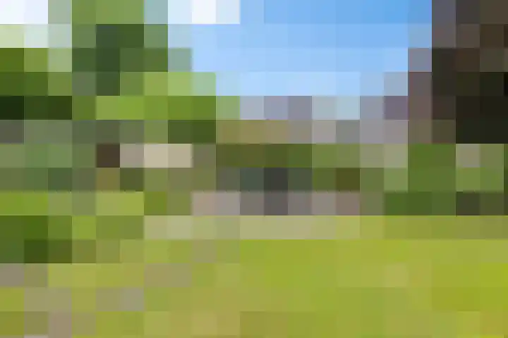Jodenweg 5 Vledderveen thumbnail 30