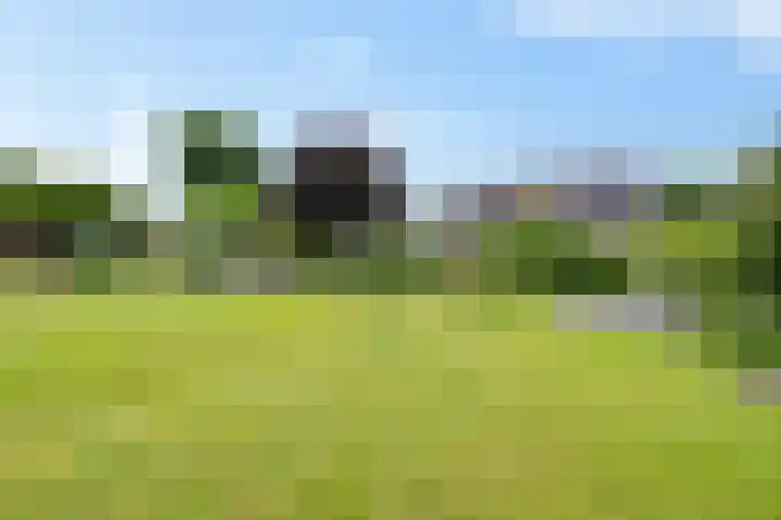 Jodenweg 5 Vledderveen thumbnail 31