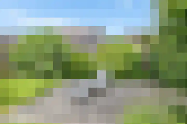 Jodenweg 5 Vledderveen thumbnail 32