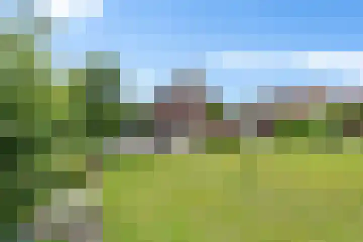 Jodenweg 5 Vledderveen thumbnail 33