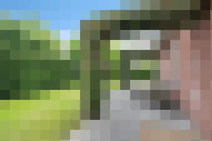 Jodenweg 5 Vledderveen thumbnail 36