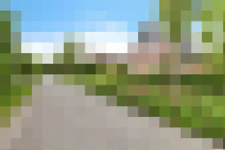 Jodenweg 5 Vledderveen thumbnail 41