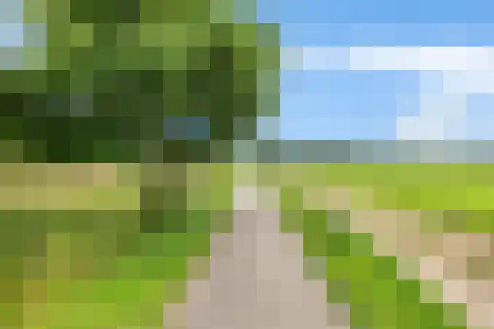 Jodenweg 5 Vledderveen thumbnail 42