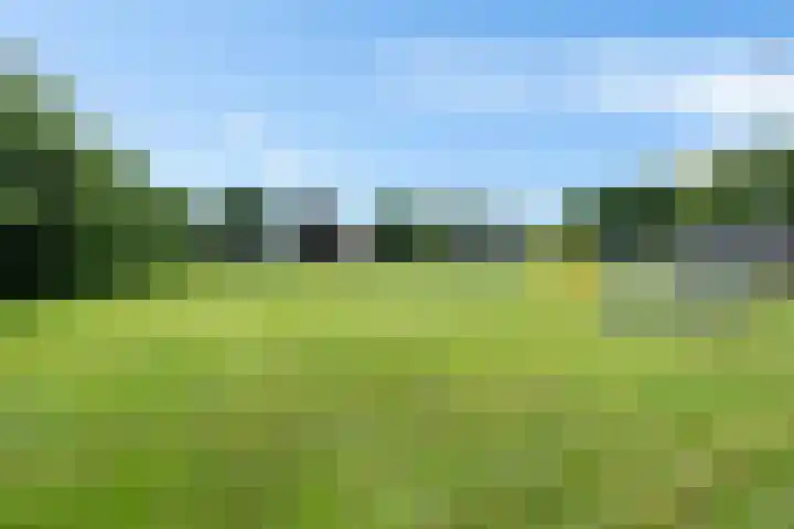 Jodenweg 5 Vledderveen thumbnail 43