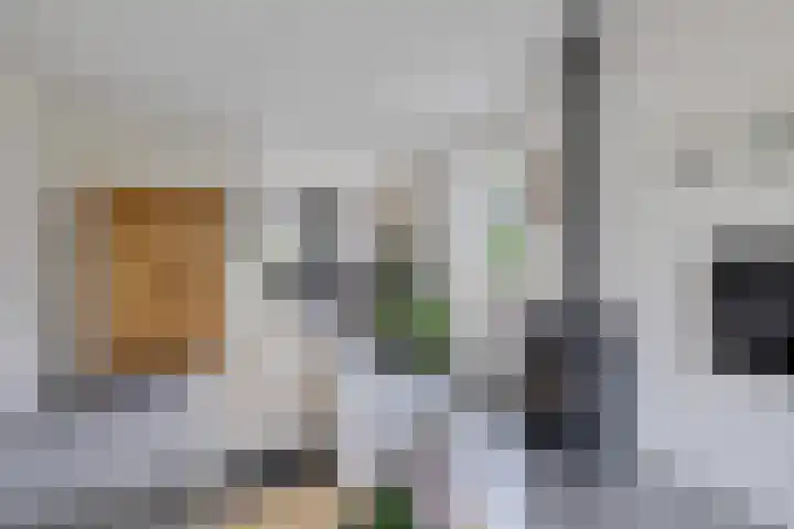 Jodenweg 5 Vledderveen thumbnail 5
