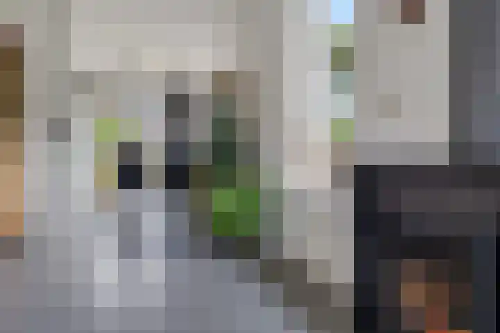 Jodenweg 5 Vledderveen thumbnail 6