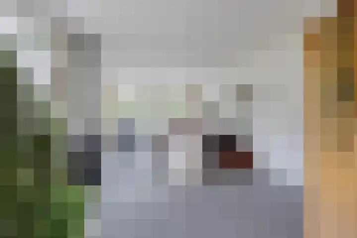 Jodenweg 5 Vledderveen thumbnail 7