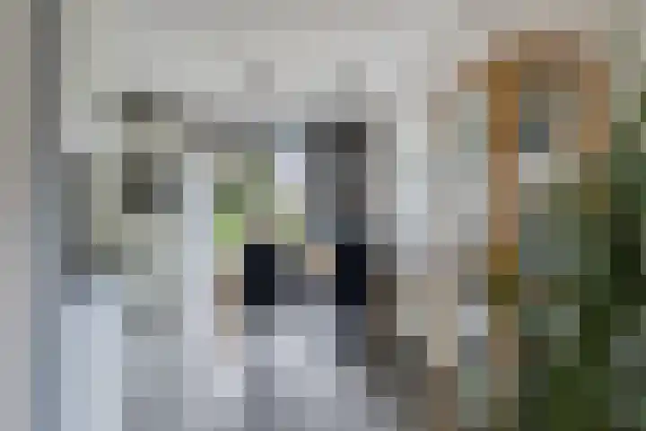 Jodenweg 5 Vledderveen thumbnail 8