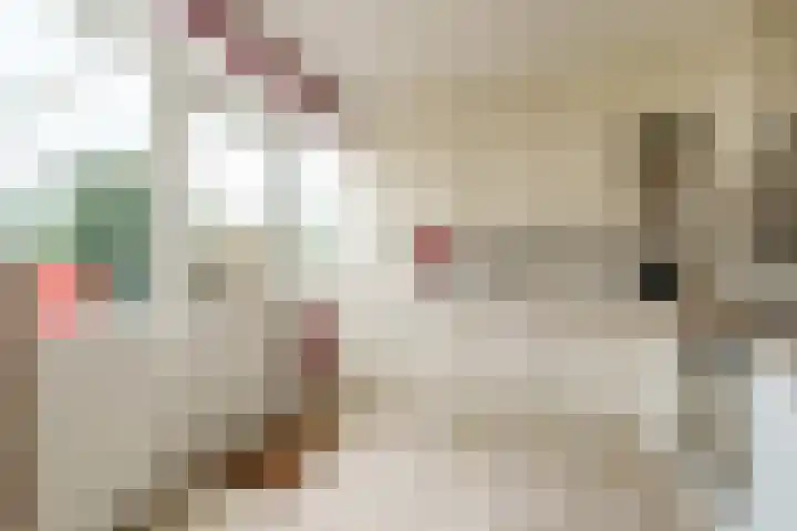 Jodichemdreef 14 Odijk thumbnail 12