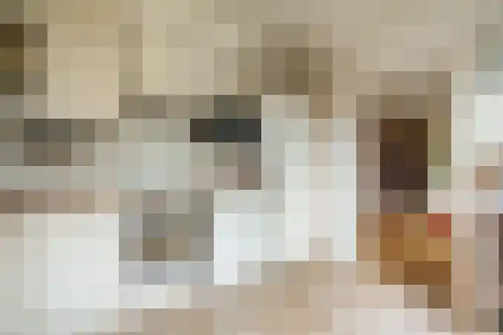 Jodichemdreef 14 Odijk thumbnail 13