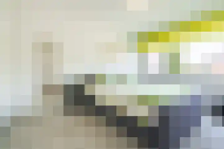 Jodichemdreef 14 Odijk thumbnail 15