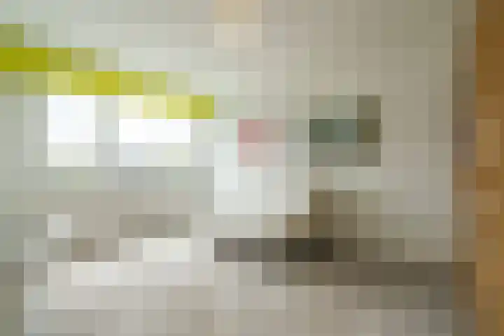 Jodichemdreef 14 Odijk thumbnail 16