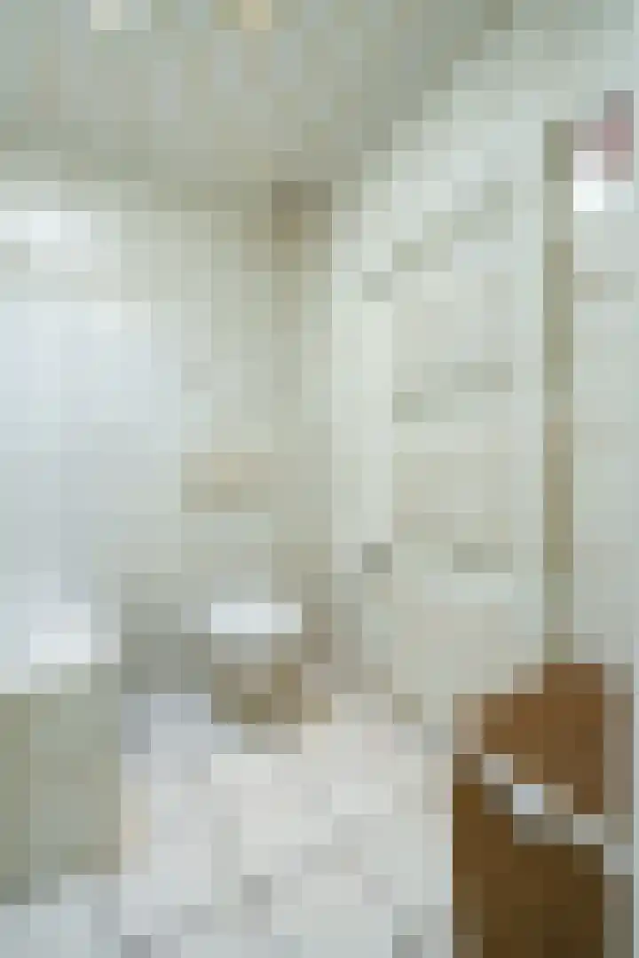 Jodichemdreef 14 Odijk thumbnail 19