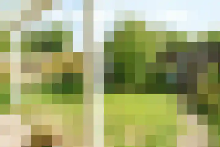 Jodichemdreef 14 Odijk thumbnail 22