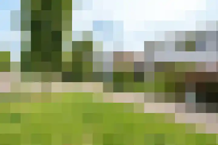 Jodichemdreef 14 Odijk thumbnail 24