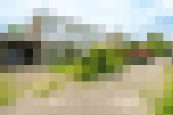 Jodichemdreef 14 Odijk thumbnail 26