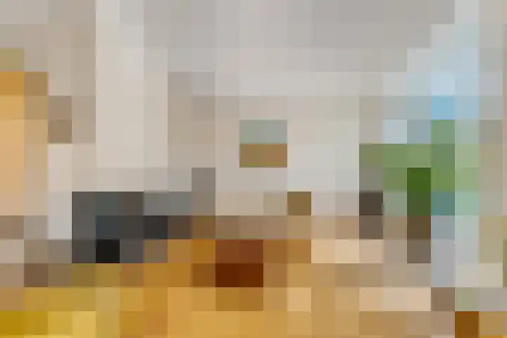 Jodichemdreef 42 Odijk thumbnail 12