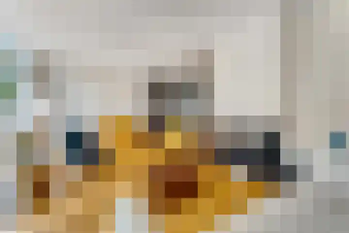 Jodichemdreef 42 Odijk thumbnail 13