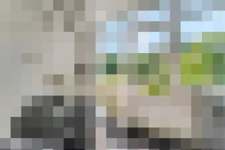 Jodichemdreef 42 Odijk thumbnail 17