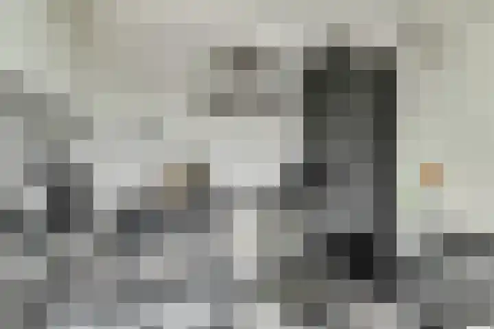 Jodichemdreef 42 Odijk thumbnail 18