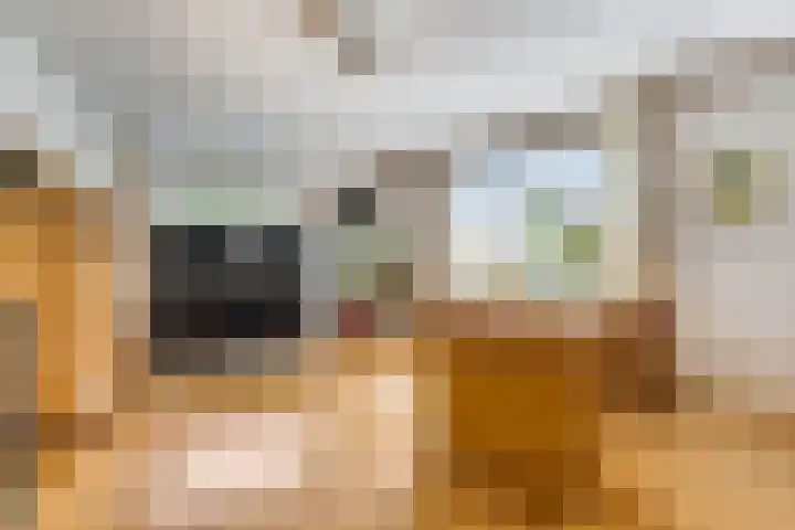 Jodichemdreef 42 Odijk thumbnail 20