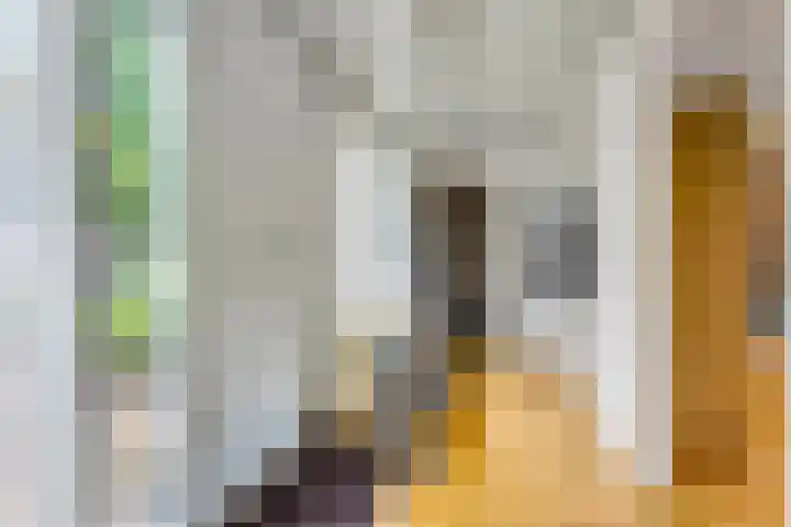 Jodichemdreef 42 Odijk thumbnail 24