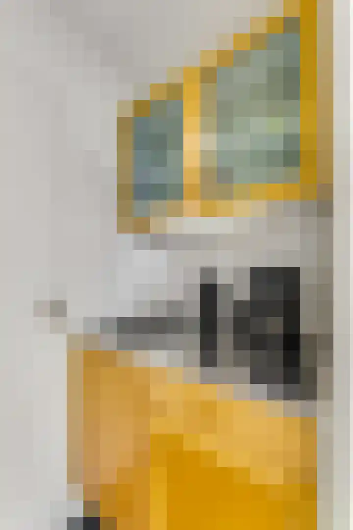 Jodichemdreef 42 Odijk thumbnail 28