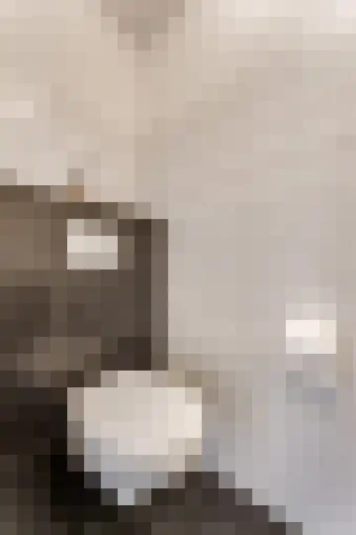 Jodichemdreef 42 Odijk thumbnail 29