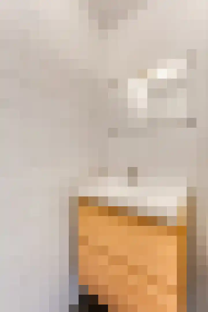 Jodichemdreef 42 Odijk thumbnail 30
