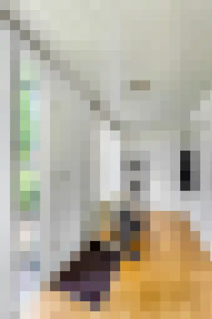 Jodichemdreef 42 Odijk thumbnail 31