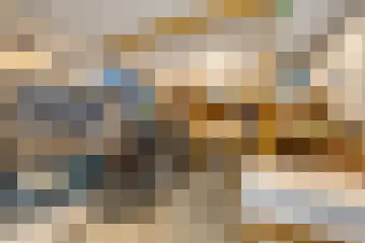 Jodichemdreef 42 Odijk thumbnail 32