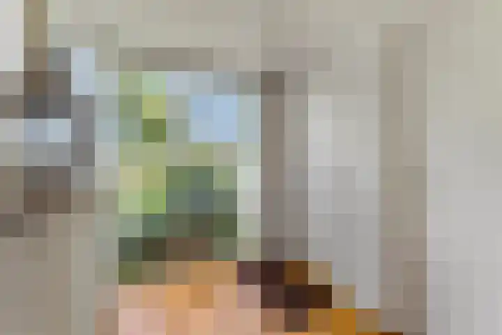 Jodichemdreef 42 Odijk thumbnail 34