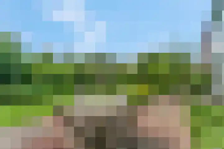 Jodichemdreef 42 Odijk thumbnail 35