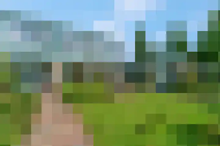 Jodichemdreef 42 Odijk thumbnail 36