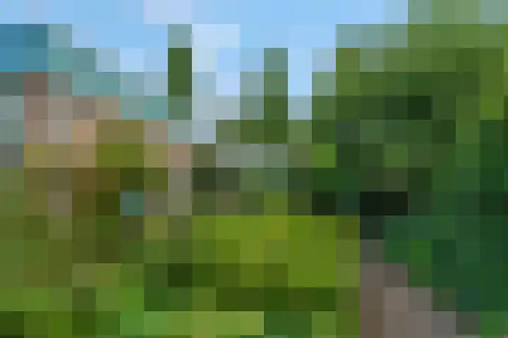 Jodichemdreef 42 Odijk thumbnail 37