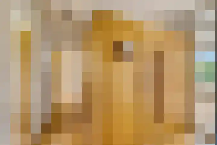 Jodichemdreef 42 Odijk thumbnail 38