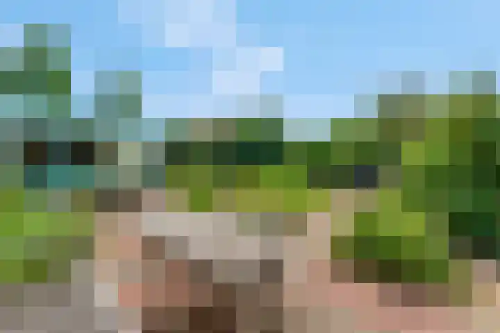 Jodichemdreef 42 Odijk thumbnail 4